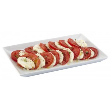 Dinner plate rectangular...