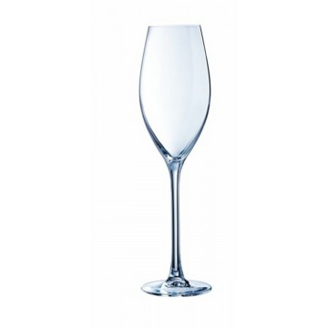 Flute 24 cl Grands Cepages...