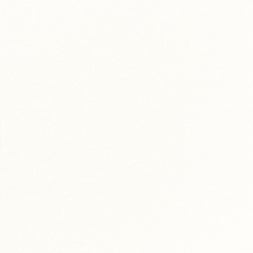 Napkin white non-woven...