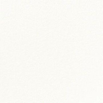 Napkin white non-woven...
