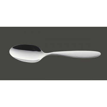 Serving spoon stainless...