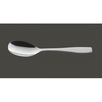 Serving spoon stainless...