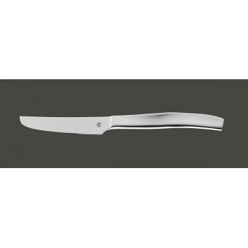 Monobloc table knife 24.1...