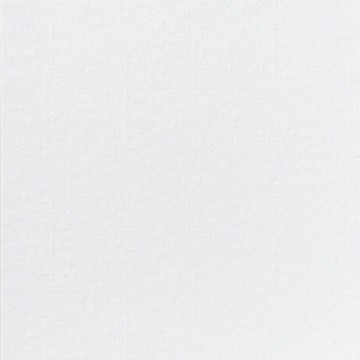 Napkin white non-woven...