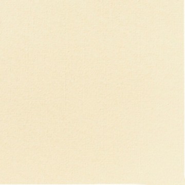 Napkin ivory non-woven...