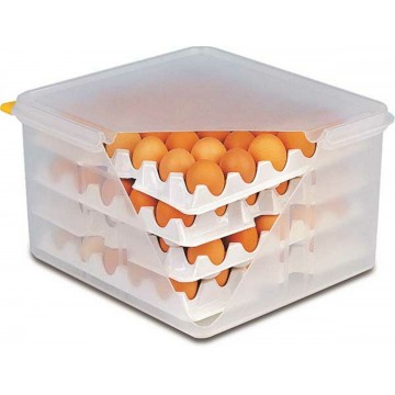 BOITE POLYETHYLÈNE 120 OEUFS