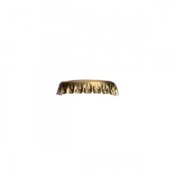 C.100 CAPSULE COURONNE...