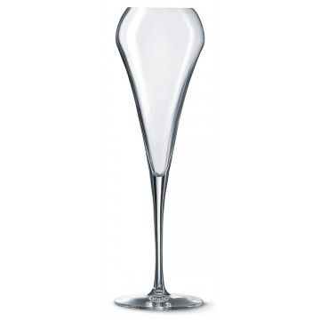 Flute 20 cl Open Up Chef &...